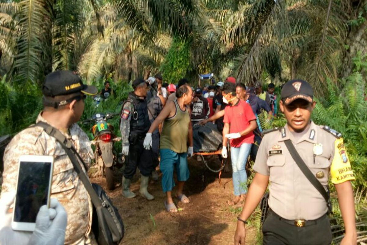 Perampokan Berujung Kematian Di Tangan Teman Sendiri Perkara Jual Sawit