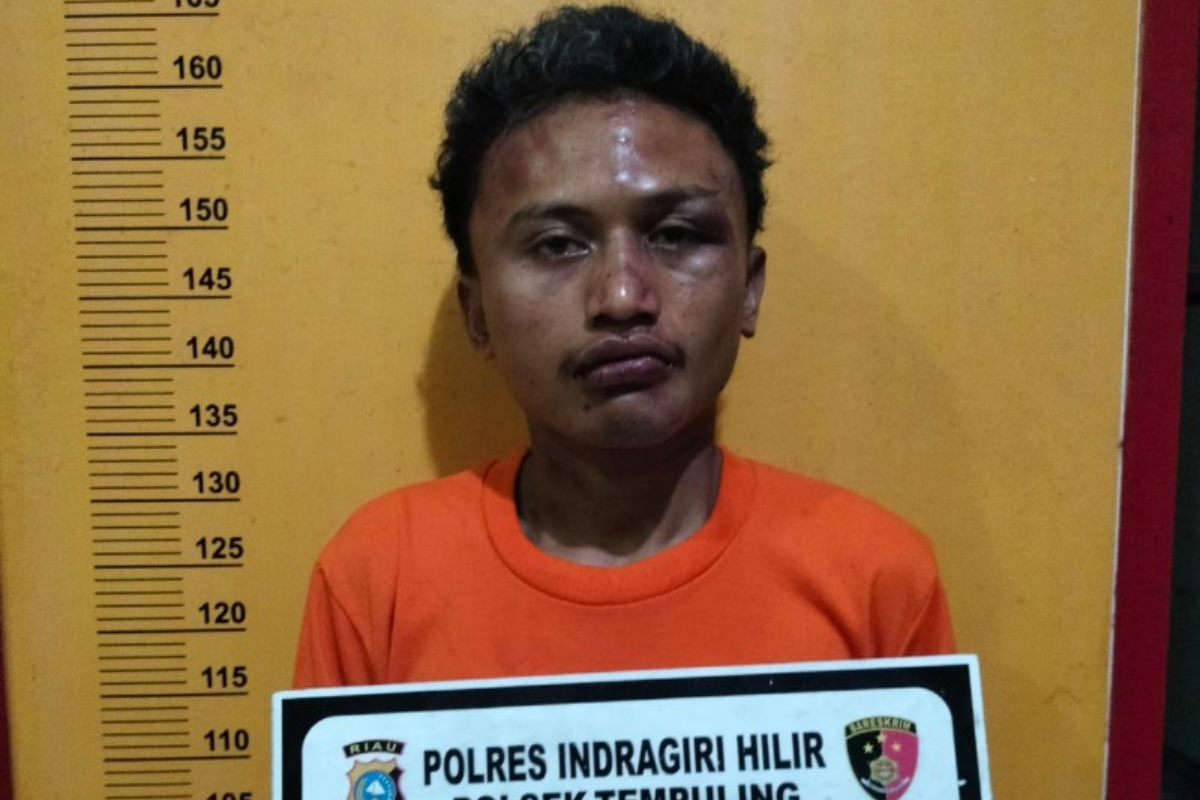 Polisi Tangkap Pelaku Pembunuhan Balita 2 Tahun